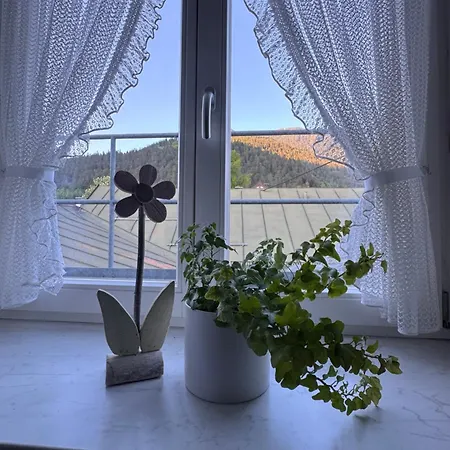 فيردنفيلزر هوف 3* جارمش بارتنكيرشن