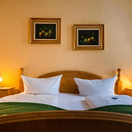 Hotel Werdenfelser Hof 3*